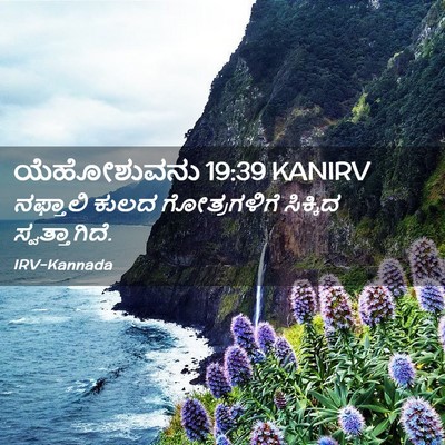 Picture 02 - ಯೆಹೋಶುವನು 19:39 KANIRV - ನಫ್ತಾಲಿ ಕುಲದ - Bible Verse Picture