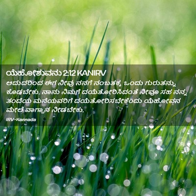Picture 02 - ಯೆಹೋಶುವನು 2:12 KANIRV - ಆದುದರಿಂದ ಈಗ ನೀವು - Bible Verse Picture