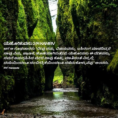 Picture 02 - ಯೆಹೋಶುವನು 2:14 KANIRV - ಆಗ ಆ ಗೂಢಚಾರರು - Bible Verse Picture