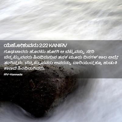 Picture 02 - ಯೆಹೋಶುವನು 2:22 KANIRV - ಗೂಢಚಾರರು ಹೊರಟು - Bible Verse Picture