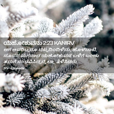 Picture 02 - ಯೆಹೋಶುವನು 2:23 KANIRV - ಆಗ ಅವರಿಬ್ಬರೂ - Bible Verse Picture