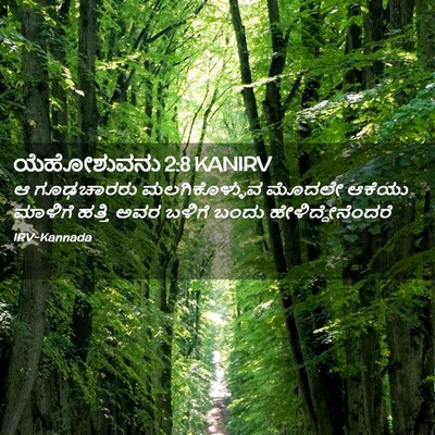 Picture 02 - ಯೆಹೋಶುವನು 2:8 KANIRV - ಆ ಗೂಢಚಾರರು - Bible Verse Picture