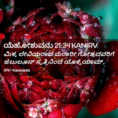 Picture 02 - ಯೆಹೋಶುವನು 21:34 KANIRV - ಮಿಕ್ಕ ಲೇವಿಯರಾದ - Bible Verse Picture