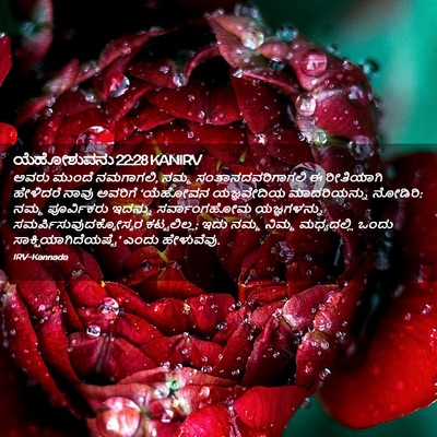 Picture 02 - ಯೆಹೋಶುವನು 22:28 KANIRV - ಅವರು ಮುಂದೆ - Bible Verse Picture