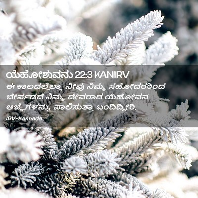 Picture 02 - ಯೆಹೋಶುವನು 22:3 KANIRV - ಈ ಕಾಲದಲ್ಲೆಲ್ಲಾ - Bible Verse Picture