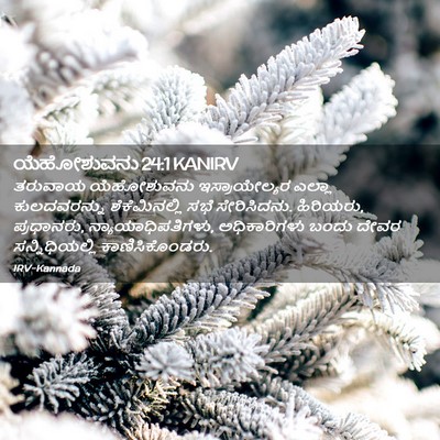 Picture 02 - ಯೆಹೋಶುವನು 24:1 KANIRV - ತರುವಾಯ ಯೆಹೋಶುವನು - Bible Verse Picture