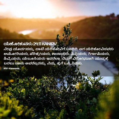 Picture 02 - ಯೆಹೋಶುವನು 24:11 KANIRV - ನೀವು ಯೊರ್ದನನ್ನು - Bible Verse Picture