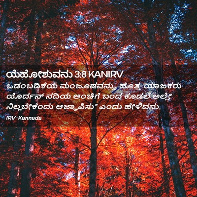 Picture 02 - ಯೆಹೋಶುವನು 3:8 KANIRV - ಒಡಂಬಡಿಕೆಯ - Bible Verse Picture