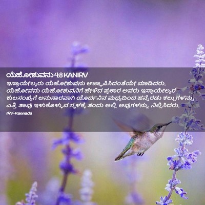 Picture 02 - ಯೆಹೋಶುವನು 4:8 KANIRV - ಇಸ್ರಾಯೇಲ್ಯರು - Bible Verse Picture
