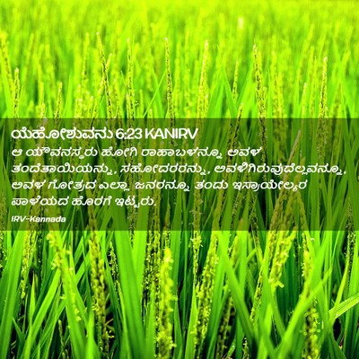 Picture 02 - ಯೆಹೋಶುವನು 6:23 KANIRV - ಆ ಯೌವನಸ್ಥರು ಹೋಗಿ - Bible Verse Picture