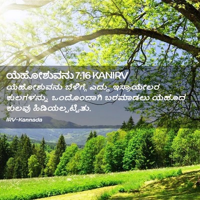 Picture 02 - ಯೆಹೋಶುವನು 7:16 KANIRV - ಯೆಹೋಶುವನು - Bible Verse Picture