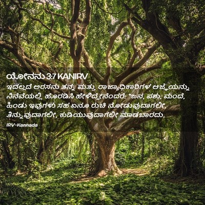 Picture 02 - ಯೋನನು 3:7 KANIRV - ಇದಲ್ಲದೆ ಅರಸನು - Bible Verse Picture