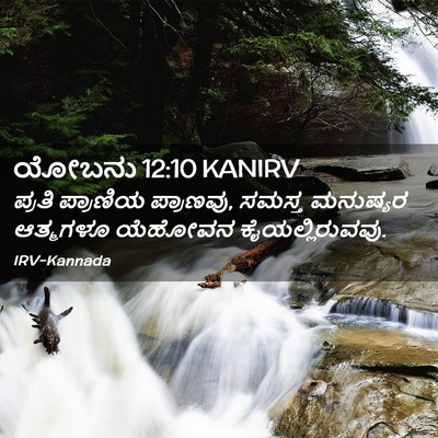 Picture 02 - ಯೋಬನು 12:10 KANIRV - ಪ್ರತಿ ಪ್ರಾಣಿಯ - Bible Verse Picture