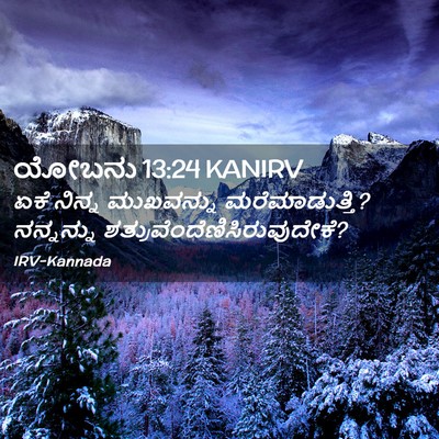 Picture 02 - ಯೋಬನು 13:24 KANIRV - ಏಕೆ ನಿನ್ನ - Bible Verse Picture