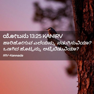 Picture 02 - ಯೋಬನು 13:25 KANIRV - ಹಾರಿಹೋಗುವ - Bible Verse Picture