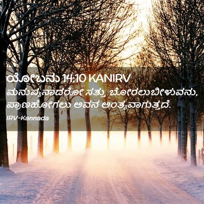 Picture 02 - ಯೋಬನು 14:10 KANIRV - ಮನುಷ್ಯನಾದರೋ ಸತ್ತು - Bible Verse Picture