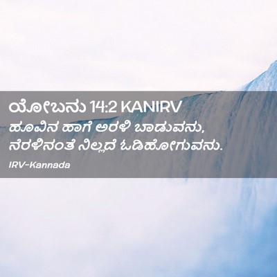 Picture 02 - ಯೋಬನು 14:2 KANIRV - ಹೂವಿನ ಹಾಗೆ ಅರಳಿ - Bible Verse Picture
