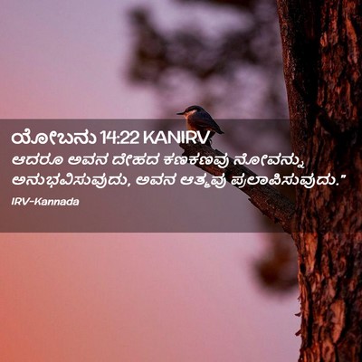 Picture 02 - ಯೋಬನು 14:22 KANIRV - ಆದರೂ ಅವನ ದೇಹದ - Bible Verse Picture