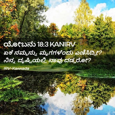 Picture 02 - ಯೋಬನು 18:3 KANIRV - ಏಕೆ ನಮ್ಮನ್ನು - Bible Verse Picture