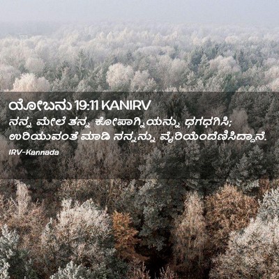 Picture 02 - ಯೋಬನು 19:11 KANIRV - ನನ್ನ ಮೇಲೆ ತನ್ನ - Bible Verse Picture