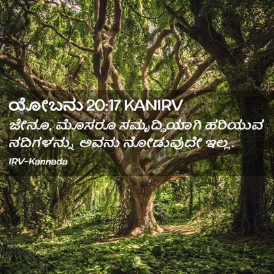 Picture 02 - ಯೋಬನು 20:17 KANIRV - ಜೇನೂ, ಮೊಸರೂ - Bible Verse Picture