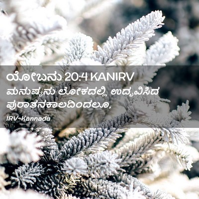 Picture 02 - ಯೋಬನು 20:4 KANIRV - ಮನುಷ್ಯನು ಲೋಕದಲ್ಲಿ - Bible Verse Picture