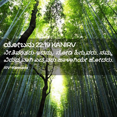 Picture 02 - ಯೋಬನು 22:19 KANIRV - ನೀತಿವಂತರು ಇದನ್ನು - Bible Verse Picture