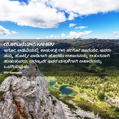 Picture 02 - ಯೋಬನು 24:5 KANIRV - ಇಗೋ, ಅಡವಿಯಲ್ಲಿ - Bible Verse Picture