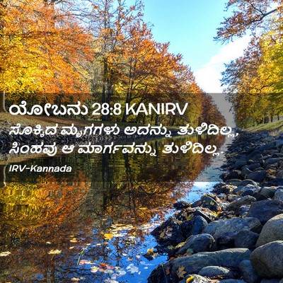 Picture 02 - ಯೋಬನು 28:8 KANIRV - ಸೊಕ್ಕಿದ ಮೃಗಗಳು - Bible Verse Picture