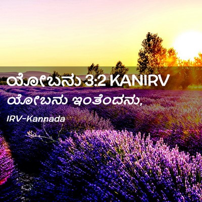 Picture 02 - ಯೋಬನು 3:2 KANIRV - ಯೋಬನು - Bible Verse Picture