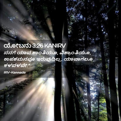 Picture 02 - ಯೋಬನು 3:26 KANIRV - ನನಗೆ ಯಾವ ಶಾಂತಿಯೂ, - Bible Verse Picture
