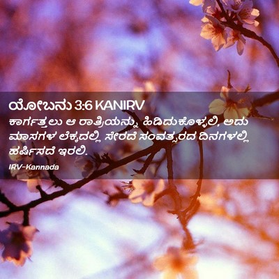 Picture 02 - ಯೋಬನು 3:6 KANIRV - ಕಾರ್ಗತ್ತಲು ಆ - Bible Verse Picture