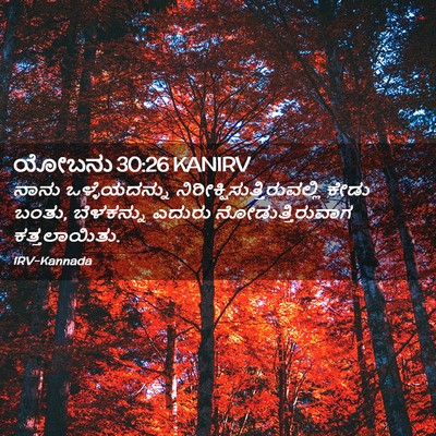 Picture 02 - ಯೋಬನು 30:26 KANIRV - ನಾನು ಒಳ್ಳೆಯದನ್ನು - Bible Verse Picture