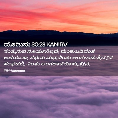 Picture 02 - ಯೋಬನು 30:28 KANIRV - ಸಂತೈಸುವ - Bible Verse Picture