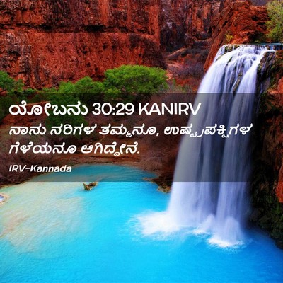 Picture 02 - ಯೋಬನು 30:29 KANIRV - ನಾನು ನರಿಗಳ ತಮ್ಮನೂ, - Bible Verse Picture