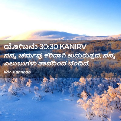 Picture 02 - ಯೋಬನು 30:30 KANIRV - ನನ್ನ ಚರ್ಮವು - Bible Verse Picture