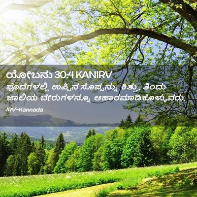 Picture 02 - ಯೋಬನು 30:4 KANIRV - ಪೊದೆಗಳಲ್ಲಿ ಉಪ್ಪಿನ - Bible Verse Picture