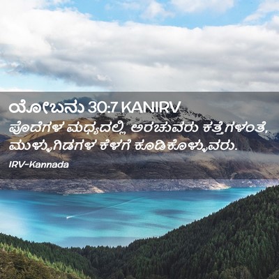 Picture 02 - ಯೋಬನು 30:7 KANIRV - ಪೊದೆಗಳ ಮಧ್ಯದಲ್ಲಿ - Bible Verse Picture
