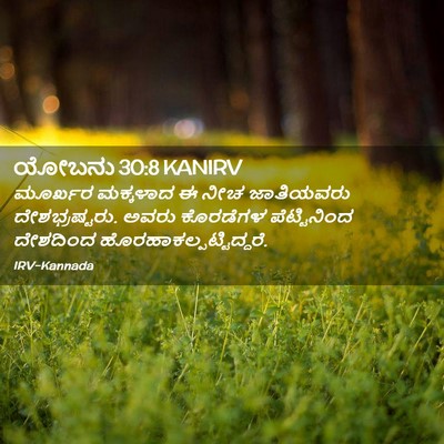 Picture 02 - ಯೋಬನು 30:8 KANIRV - ಮೂರ್ಖರ ಮಕ್ಕಳಾದ ಈ - Bible Verse Picture