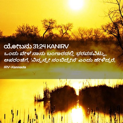 Picture 02 - ಯೋಬನು 31:24 KANIRV - ಒಂದು ವೇಳೆ ನಾನು - Bible Verse Picture