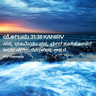 Picture 02 - ಯೋಬನು 31:38 KANIRV - ನನ್ನ ಭೂಮಿಯು ನನ್ನ - Bible Verse Picture