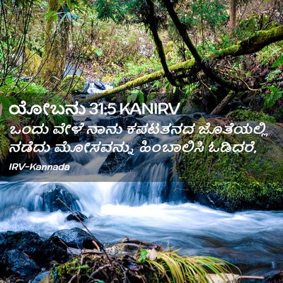 Picture 02 - ಯೋಬನು 31:5 KANIRV - ಒಂದು ವೇಳೆ ನಾನು - Bible Verse Picture