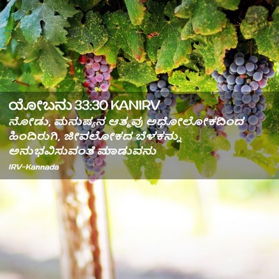 Picture 02 - ಯೋಬನು 33:30 KANIRV - ನೋಡು, ಮನುಷ್ಯನ - Bible Verse Picture