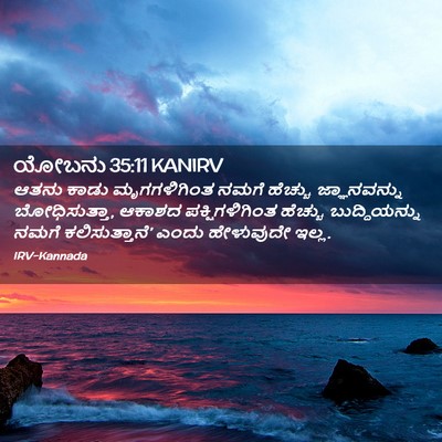 Picture 02 - ಯೋಬನು 35:11 KANIRV - ಆತನು ಕಾಡು - Bible Verse Picture