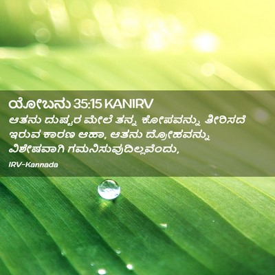 Picture 02 - ಯೋಬನು 35:15 KANIRV - ಆತನು ದುಷ್ಟರ ಮೇಲೆ - Bible Verse Picture