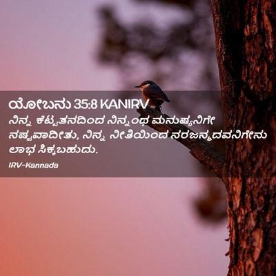 Picture 02 - ಯೋಬನು 35:8 KANIRV - ನಿನ್ನ ಕೆಟ್ಟತನದಿಂದ - Bible Verse Picture