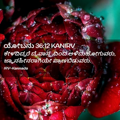 Picture 02 - ಯೋಬನು 36:12 KANIRV - ಕೇಳದಿದ್ದರೆ - Bible Verse Picture