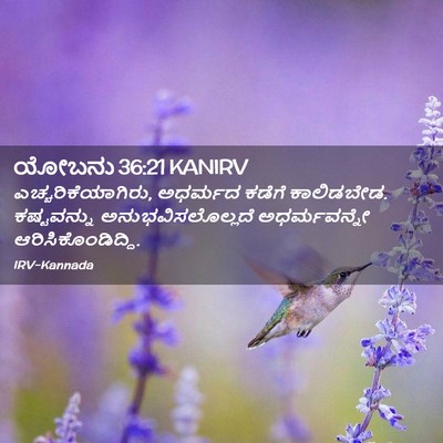Picture 02 - ಯೋಬನು 36:21 KANIRV - ಎಚ್ಚರಿಕೆಯಾಗಿರು, - Bible Verse Picture