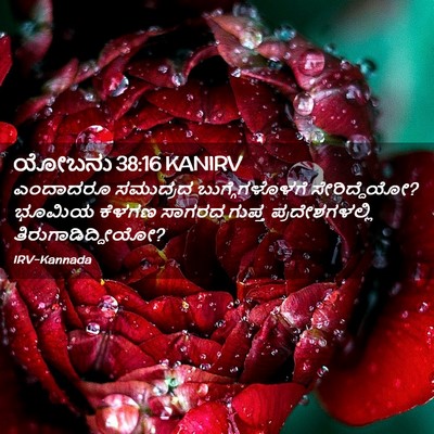 Picture 02 - ಯೋಬನು 38:16 KANIRV - ಎಂದಾದರೂ ಸಮುದ್ರದ - Bible Verse Picture