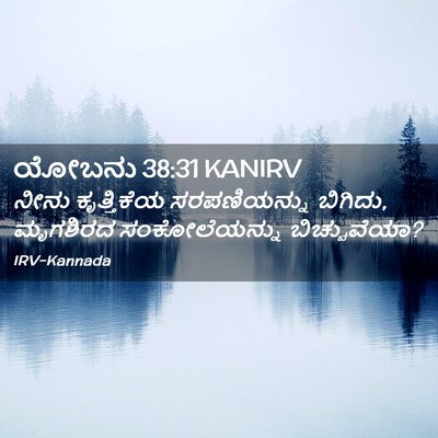 Picture 02 - ಯೋಬನು 38:31 KANIRV - ನೀನು ಕೃತ್ತಿಕೆಯ - Bible Verse Picture
